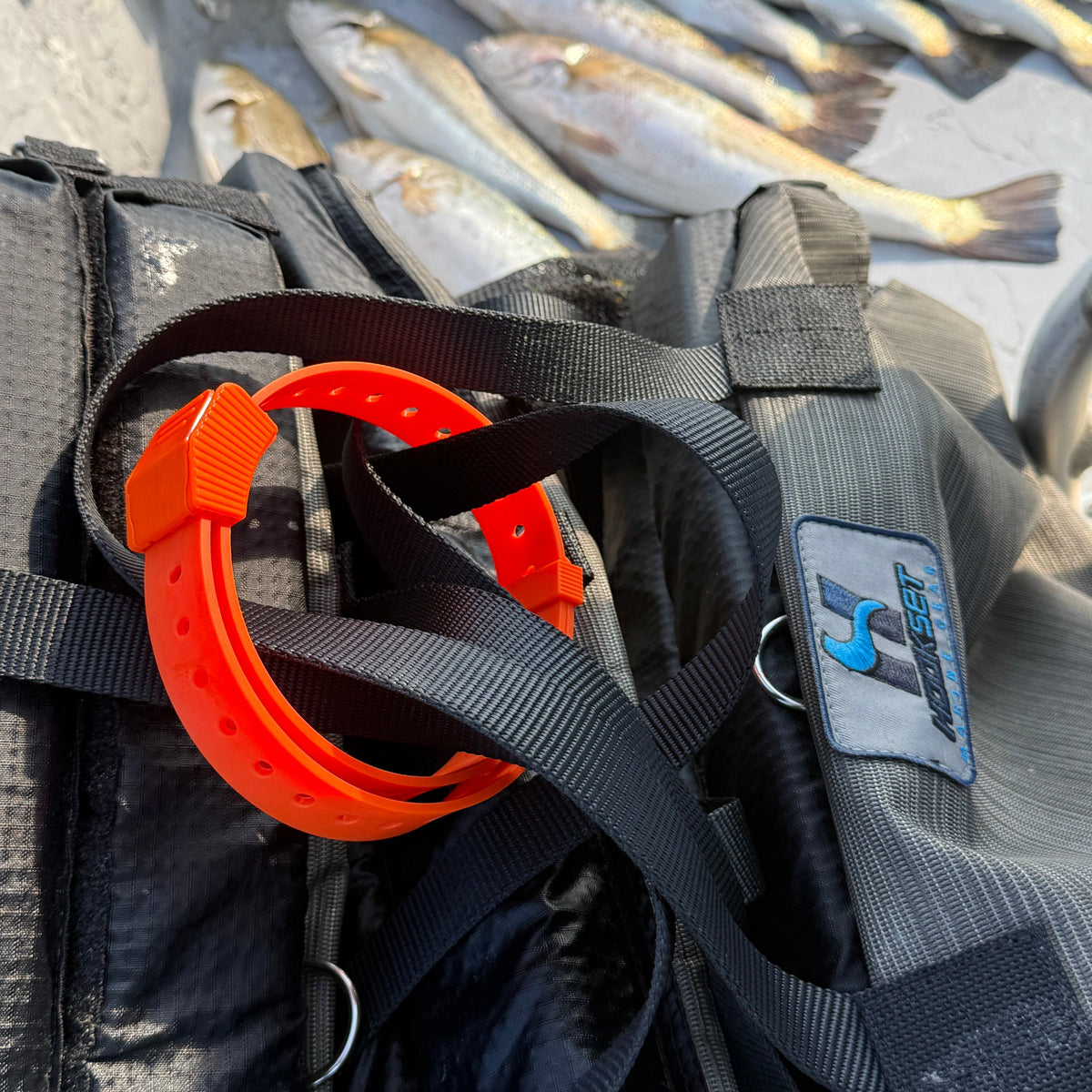 HOSS 24-Inch Gear Straps — 2-Pack or 6-Pack